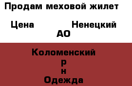Продам меховой жилет › Цена ­ 1 000 - Ненецкий АО, Коломенский р-н Одежда, обувь и аксессуары » Женская одежда и обувь   